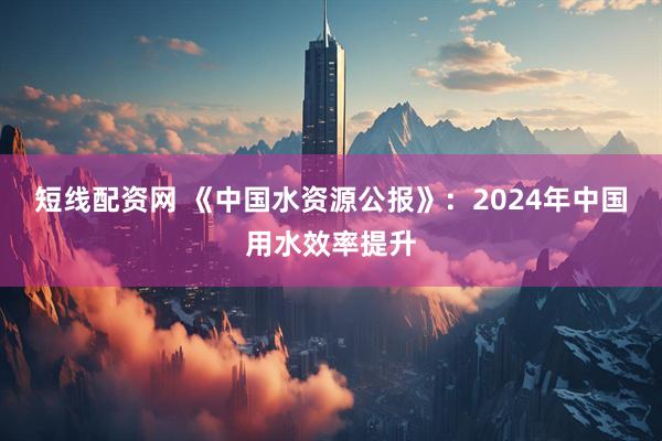 短线配资网 《中国水资源公报》：2024年中国用水效率提升
