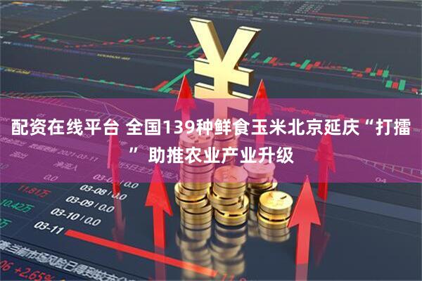 配资在线平台 全国139种鲜食玉米北京延庆“打擂” 助推农业产业升级